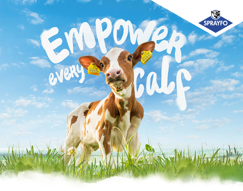 Calf in a field with the title Empower every calf