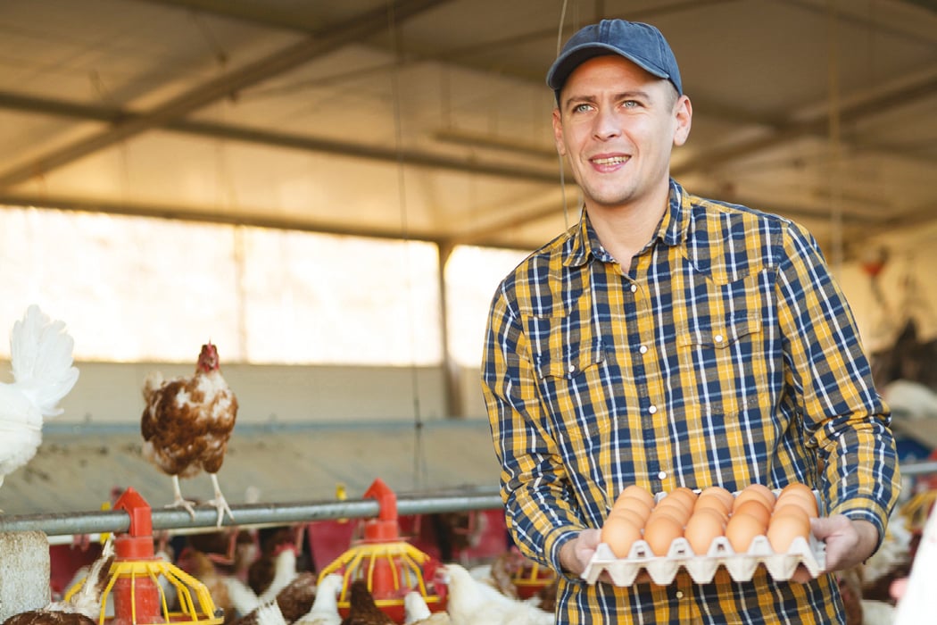 Contadino che tiene un vassoio di uova con galline sullo sfondo